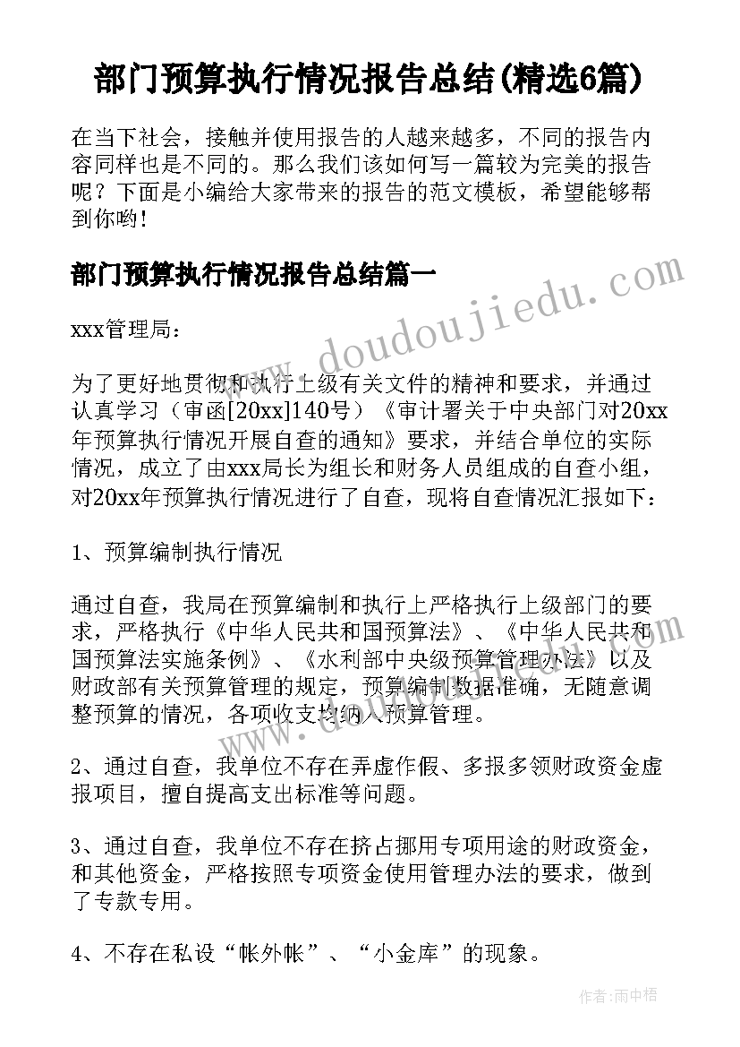 部门预算执行情况报告总结(精选6篇)