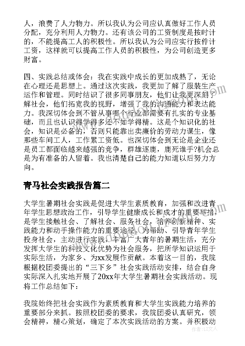 2023年青马社会实践报告(大全8篇)