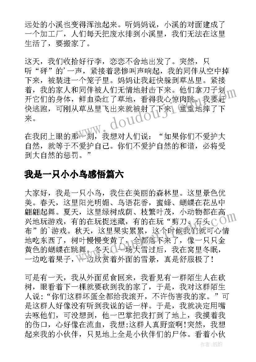 2023年我是一只小小鸟感悟(通用8篇)