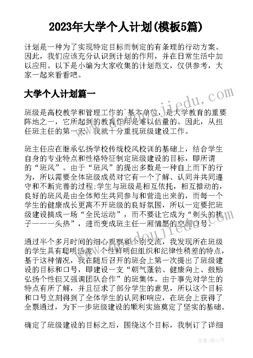 2023年大学个人计划(模板5篇)