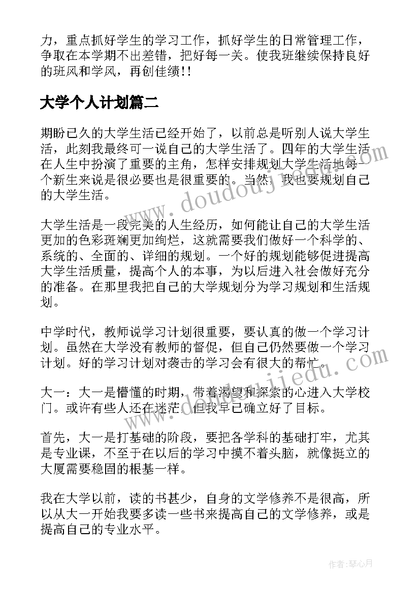 2023年大学个人计划(模板5篇)