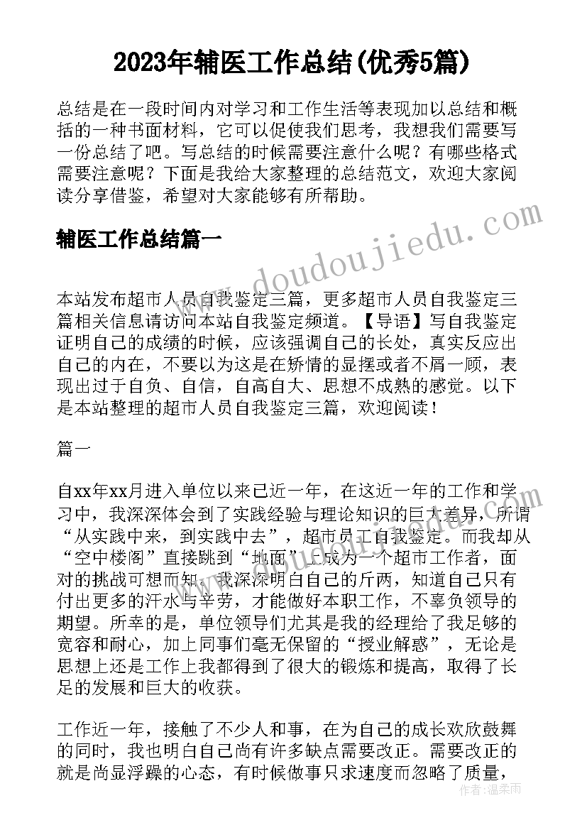 2023年辅医工作总结(优秀5篇)