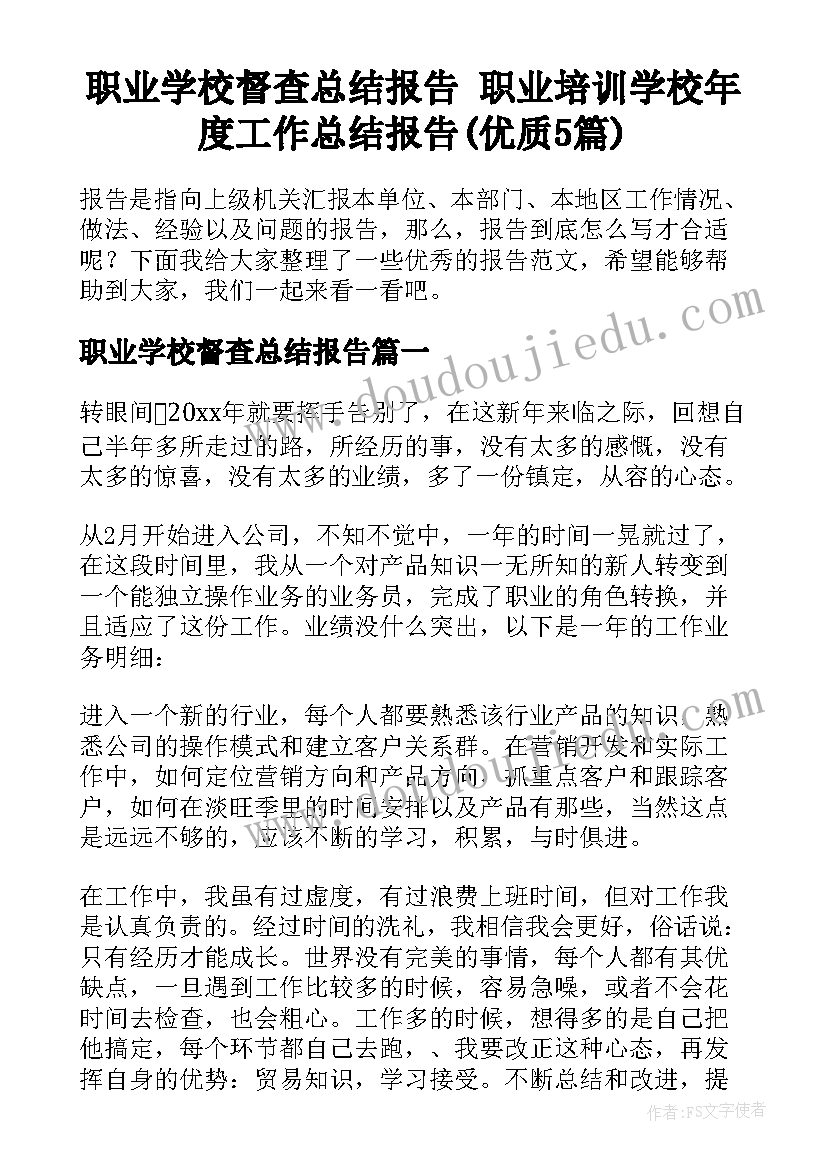 职业学校督查总结报告 职业培训学校年度工作总结报告(优质5篇)