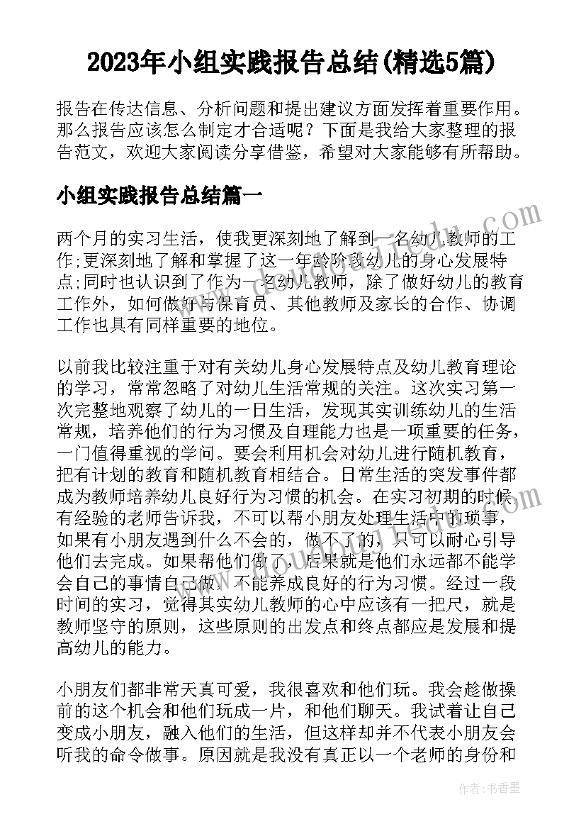 2023年小组实践报告总结(精选5篇)