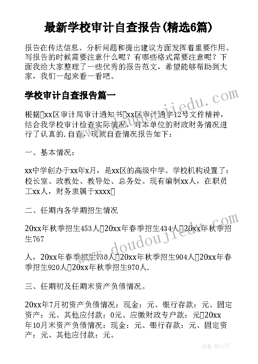 最新学校审计自查报告(精选6篇)