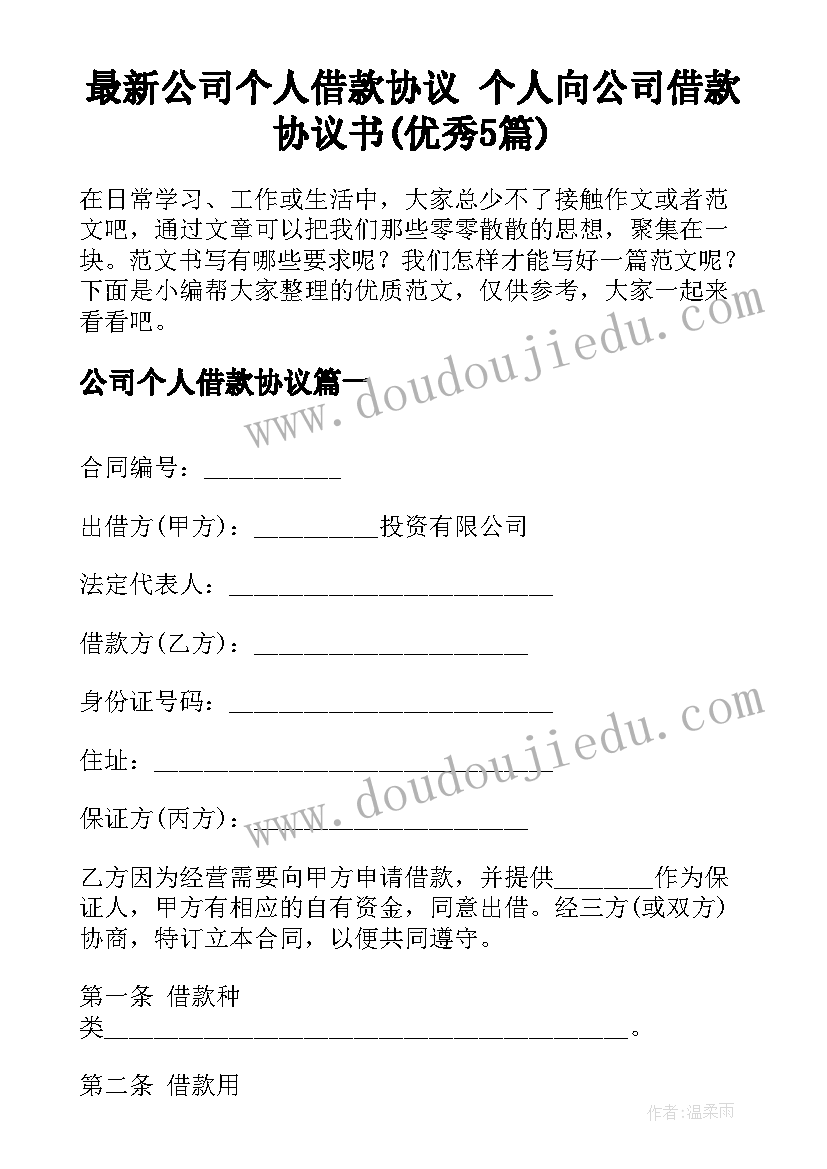 最新公司个人借款协议 个人向公司借款协议书(优秀5篇)