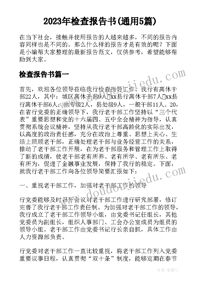 2023年检查报告书(通用5篇)