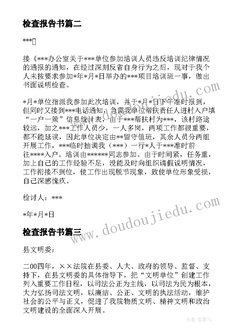 2023年检查报告书(通用5篇)