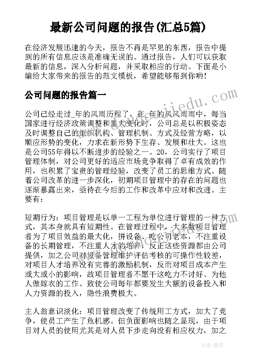 最新公司问题的报告(汇总5篇)