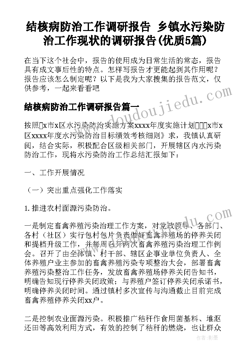 结核病防治工作调研报告 乡镇水污染防治工作现状的调研报告(优质5篇)