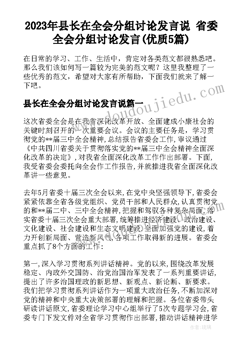 2023年县长在全会分组讨论发言说 省委全会分组讨论发言(优质5篇)