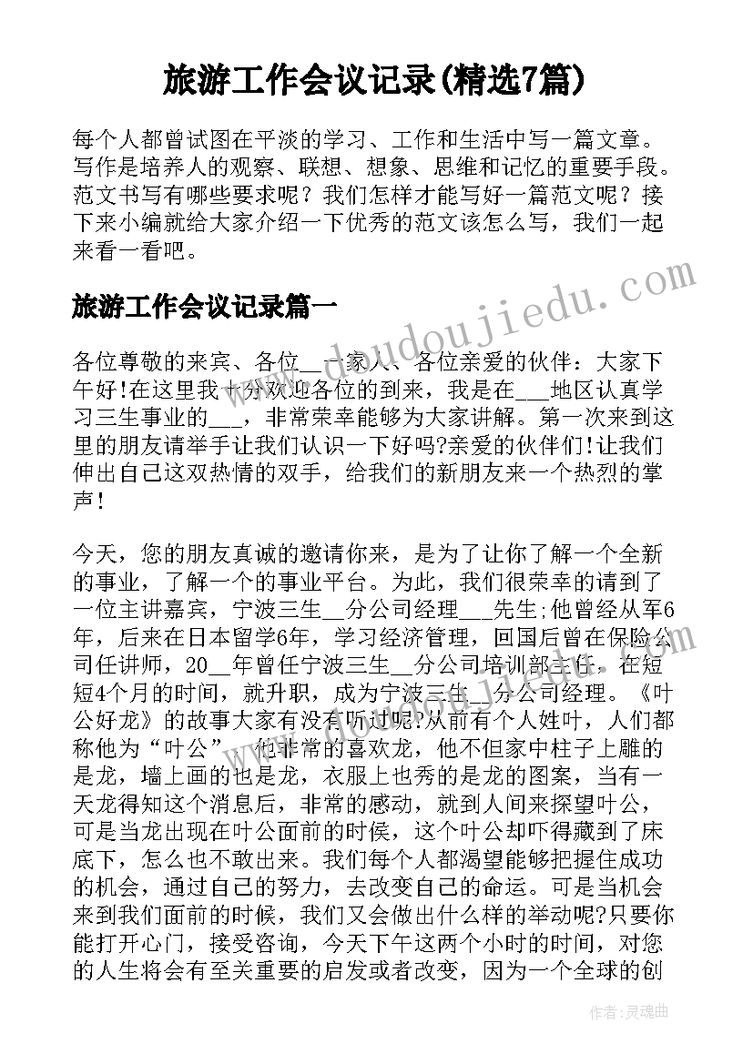 旅游工作会议记录(精选7篇)