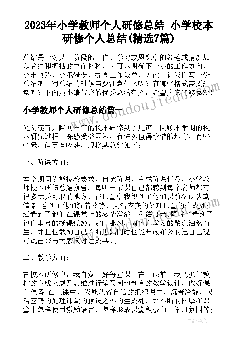 2023年小学教师个人研修总结 小学校本研修个人总结(精选7篇)