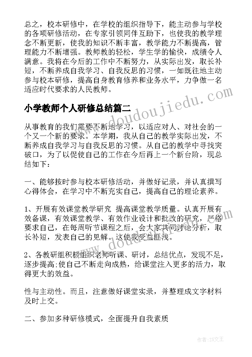 2023年小学教师个人研修总结 小学校本研修个人总结(精选7篇)