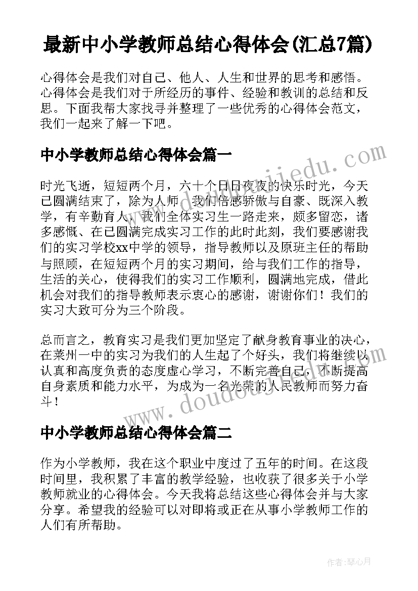 最新中小学教师总结心得体会(汇总7篇)