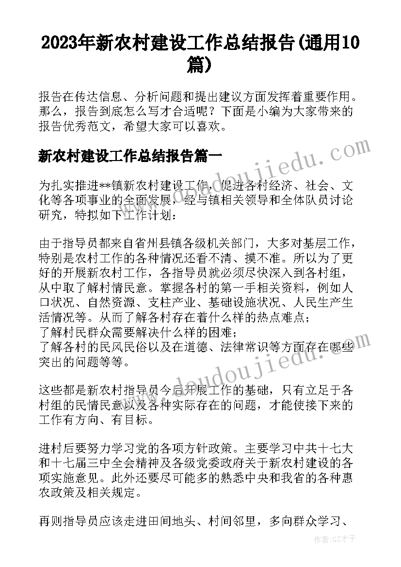 2023年新农村建设工作总结报告(通用10篇)