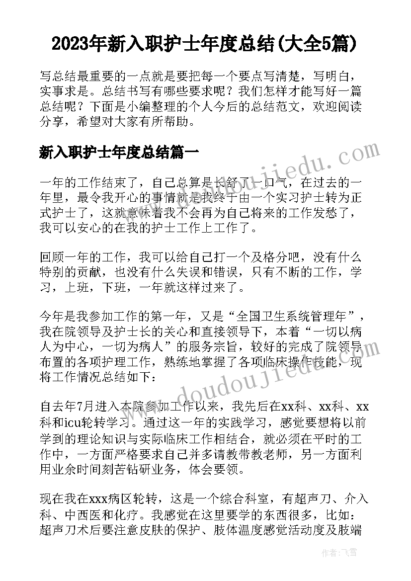 2023年新入职护士年度总结(大全5篇)