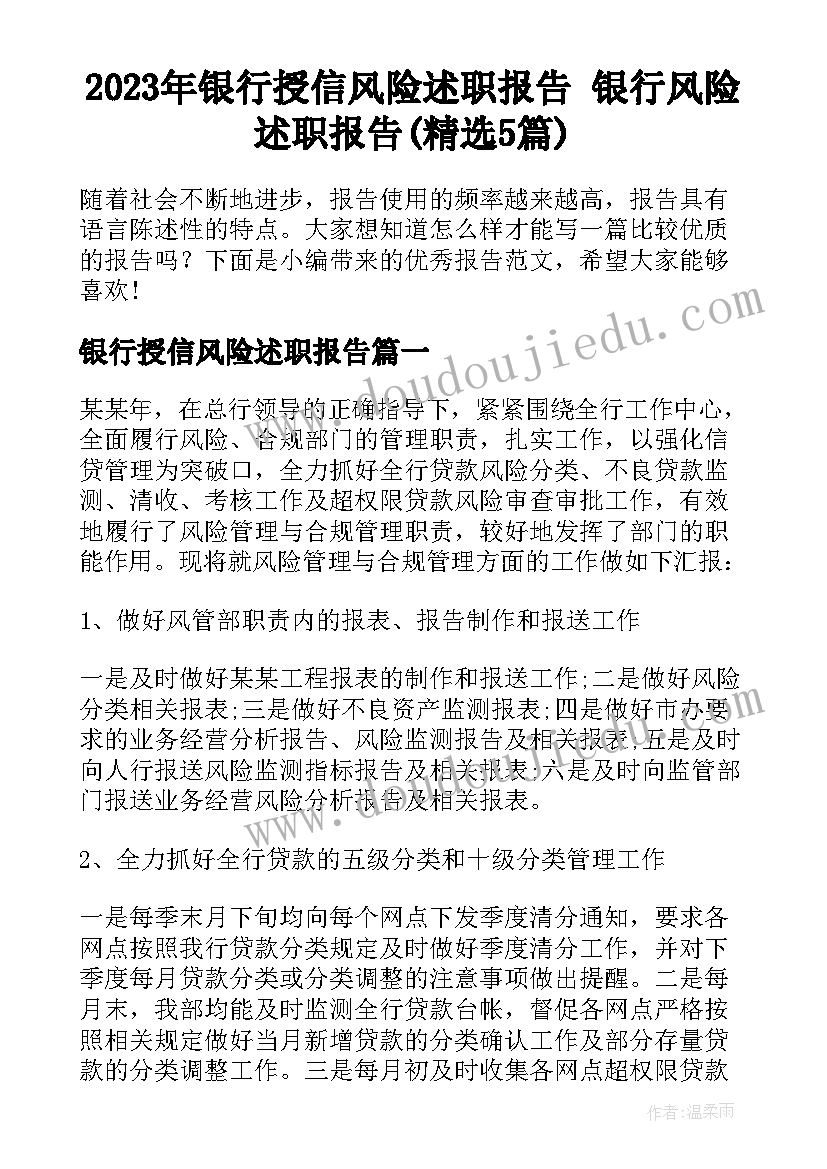 2023年银行授信风险述职报告 银行风险述职报告(精选5篇)