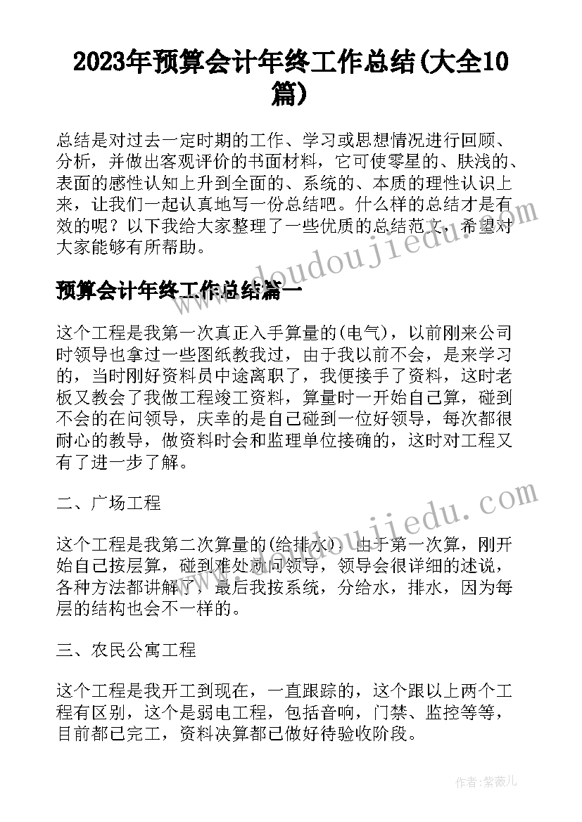 2023年预算会计年终工作总结(大全10篇)