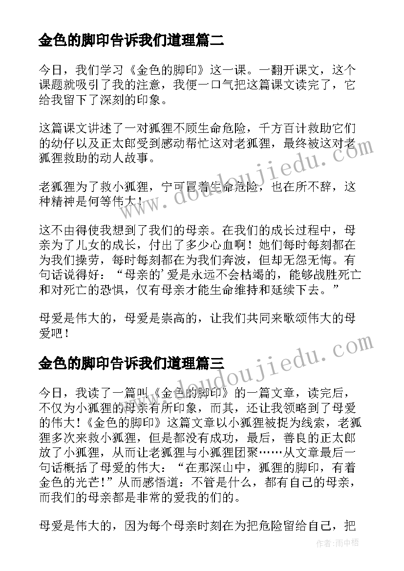 金色的脚印告诉我们道理 金色的脚印读后感(模板7篇)