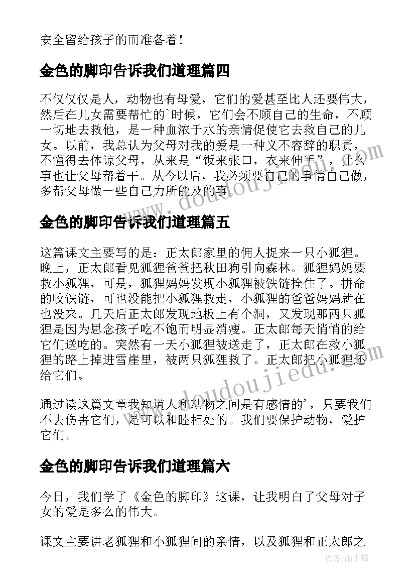 金色的脚印告诉我们道理 金色的脚印读后感(模板7篇)