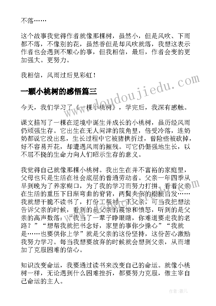 2023年一颗小桃树的感悟(精选5篇)