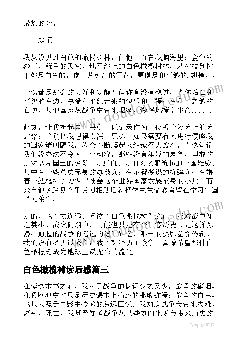 最新白色橄榄树读后感 白色橄榄树的读后感(模板5篇)