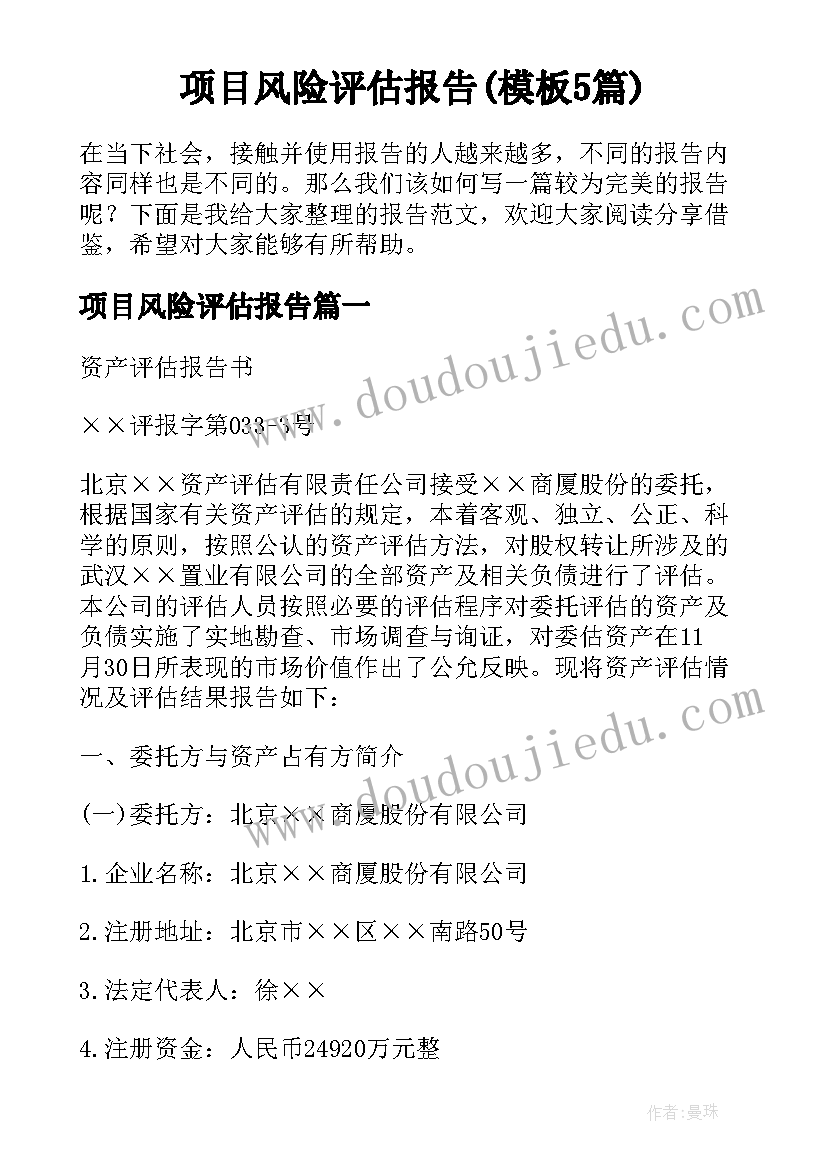 项目风险评估报告(模板5篇)