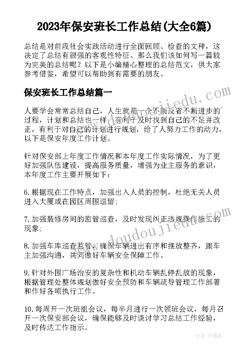 2023年保安班长工作总结(大全6篇)