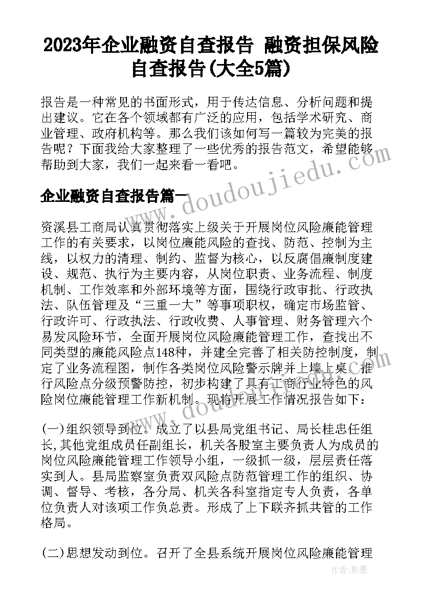 2023年企业融资自查报告 融资担保风险自查报告(大全5篇)