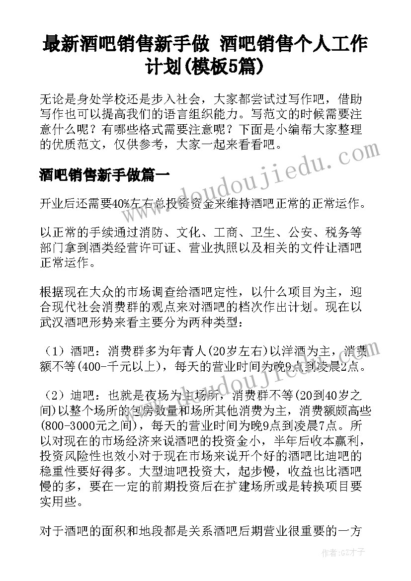 最新酒吧销售新手做 酒吧销售个人工作计划(模板5篇)