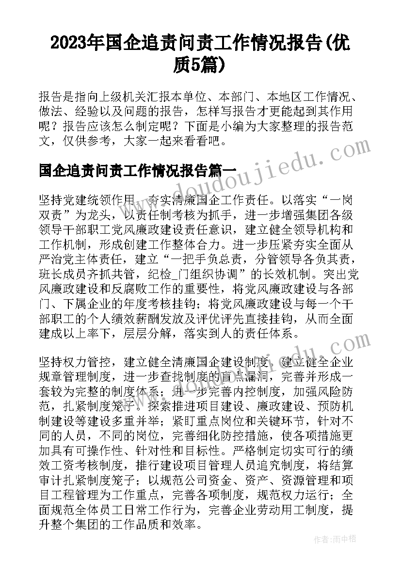 2023年国企追责问责工作情况报告(优质5篇)