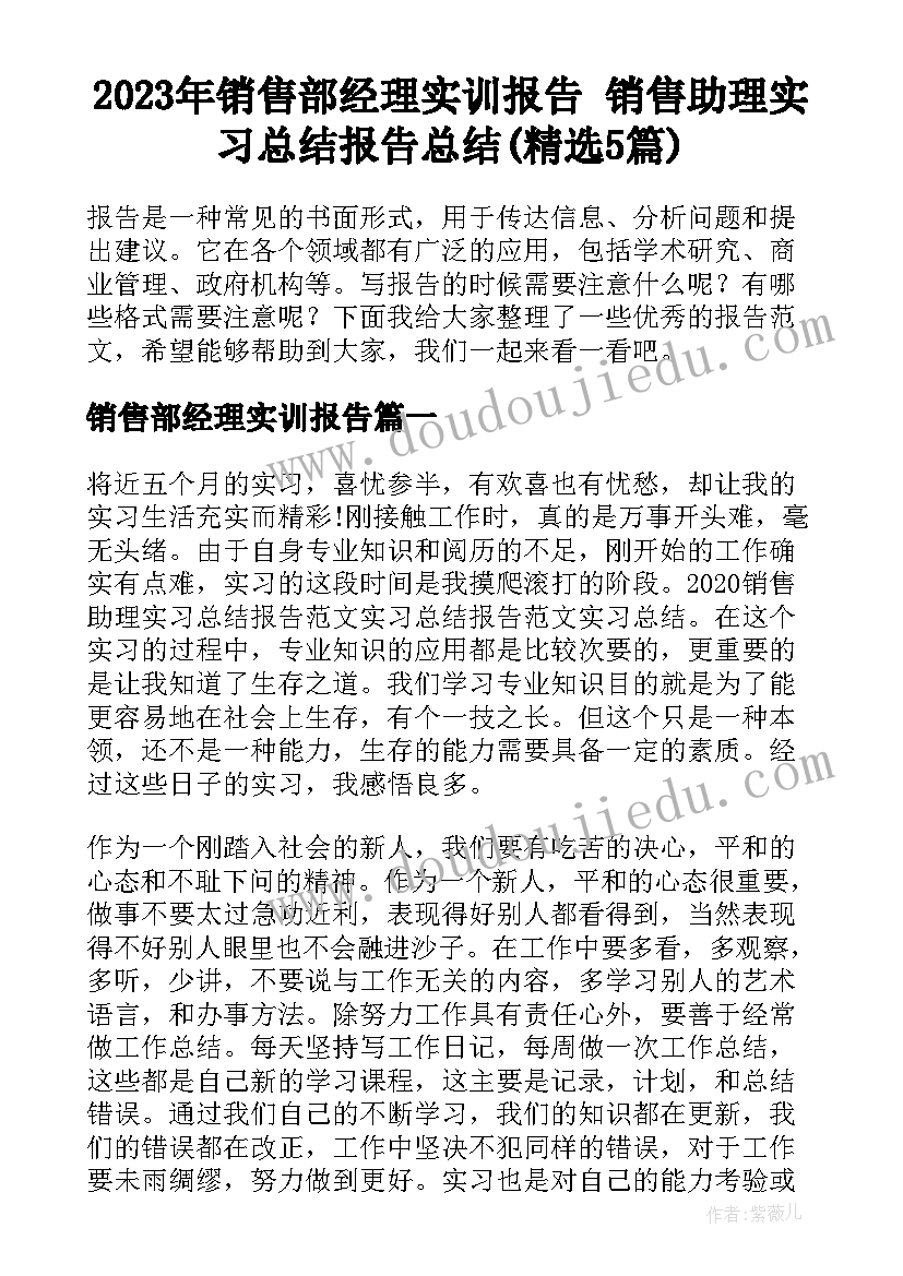 2023年销售部经理实训报告 销售助理实习总结报告总结(精选5篇)