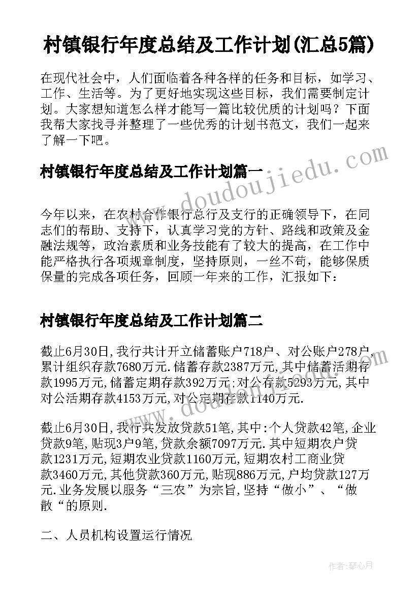 村镇银行年度总结及工作计划(汇总5篇)