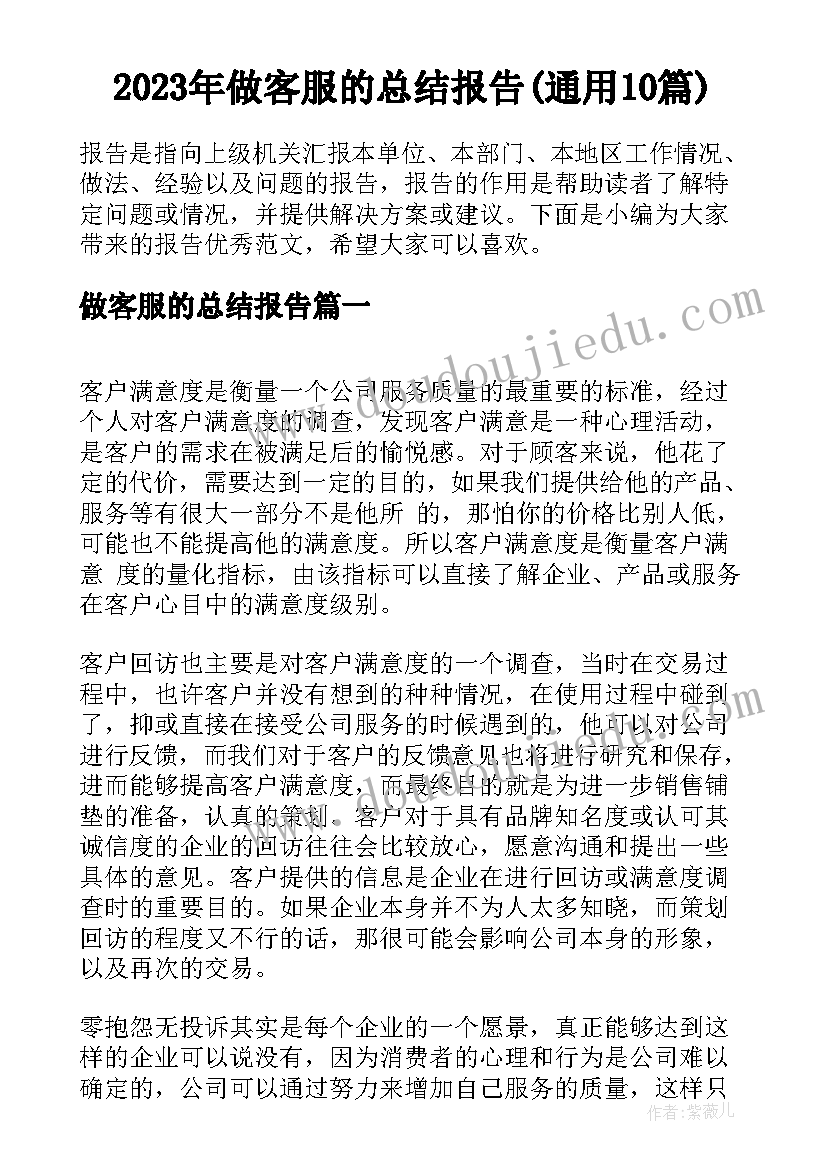 2023年做客服的总结报告(通用10篇)