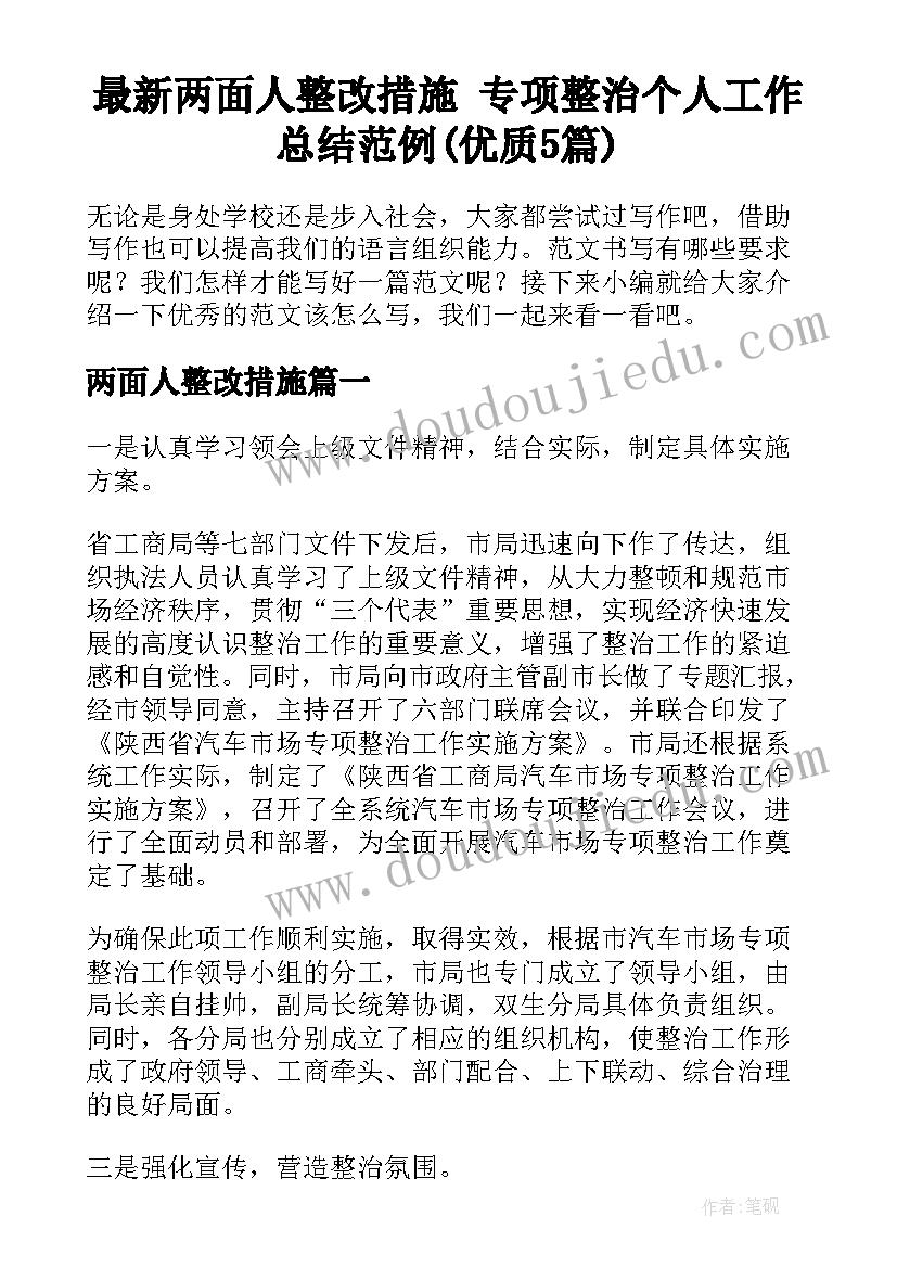 最新两面人整改措施 专项整治个人工作总结范例(优质5篇)