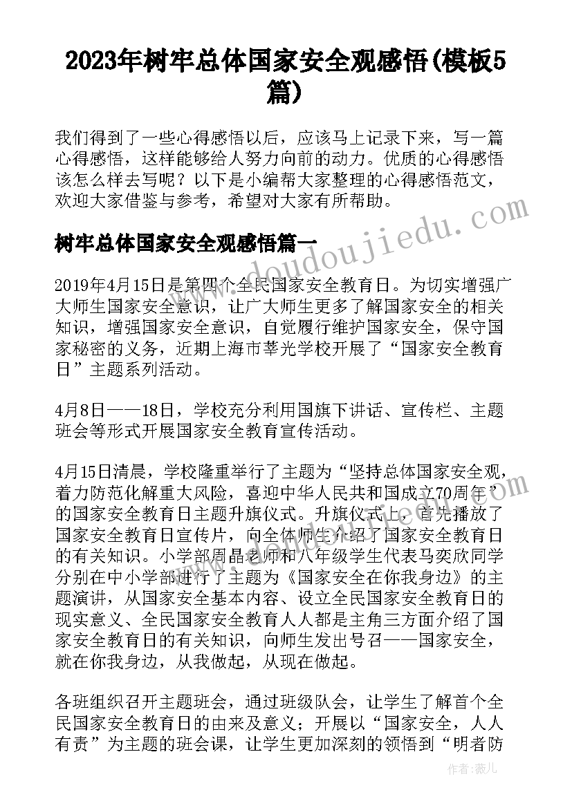 2023年树牢总体国家安全观感悟(模板5篇)