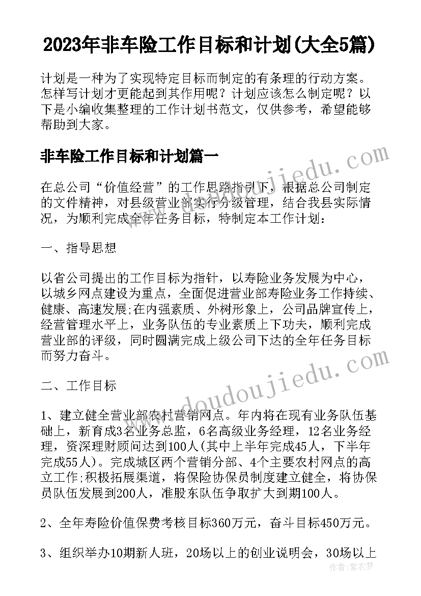 2023年非车险工作目标和计划(大全5篇)