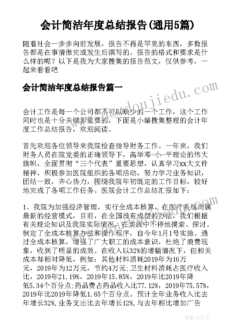 会计简洁年度总结报告(通用5篇)