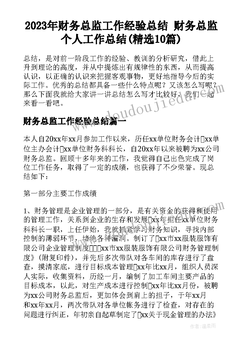 2023年财务总监工作经验总结 财务总监个人工作总结(精选10篇)