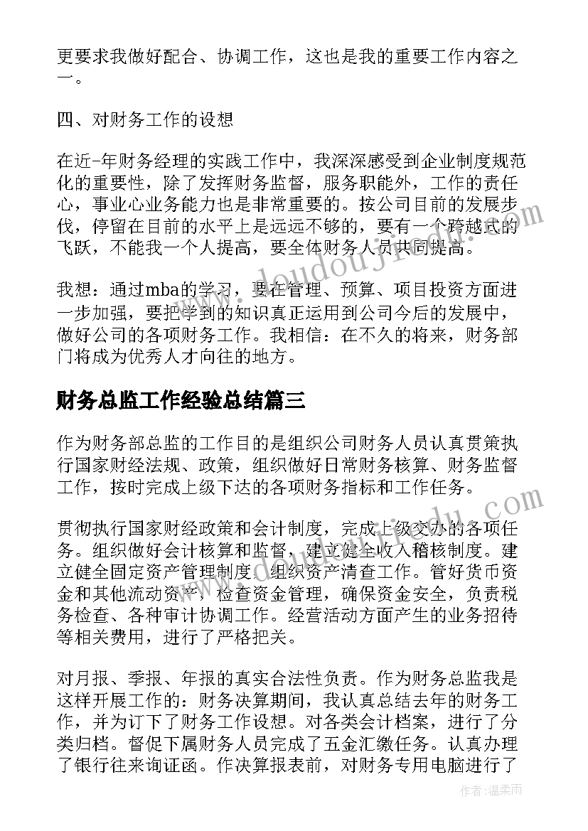 2023年财务总监工作经验总结 财务总监个人工作总结(精选10篇)