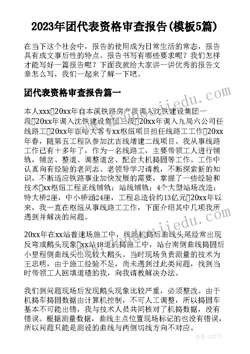 2023年团代表资格审查报告(模板5篇)