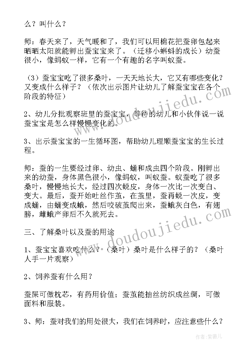 幼儿园中班蚕宝宝教案(优质5篇)