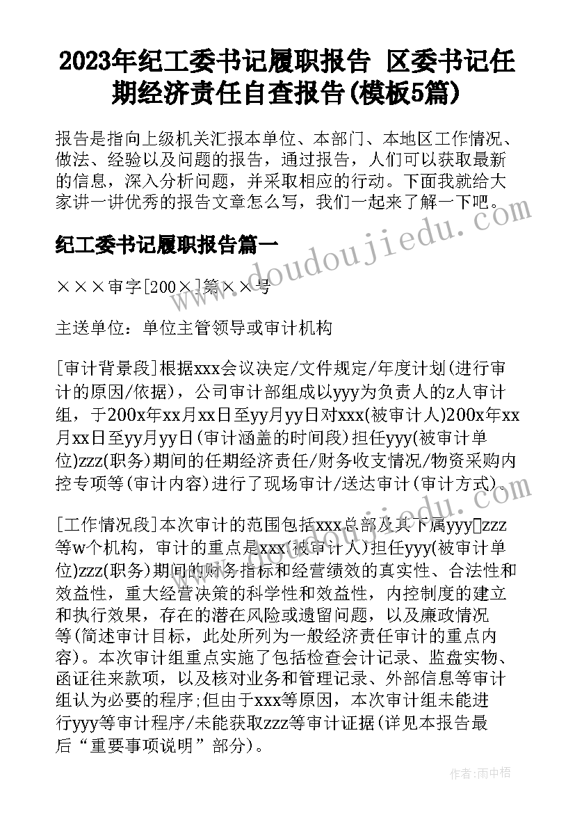 2023年纪工委书记履职报告 区委书记任期经济责任自查报告(模板5篇)