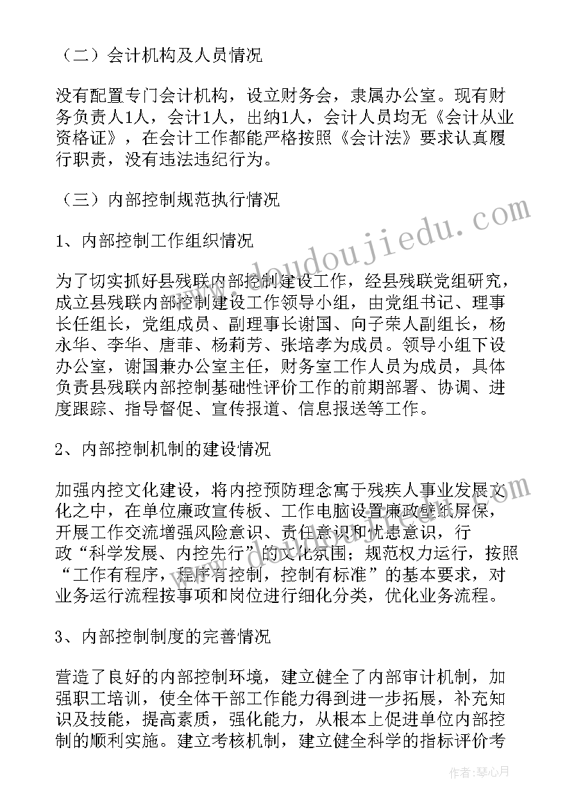 最新财务自查自纠报告 财务自查报告(精选8篇)