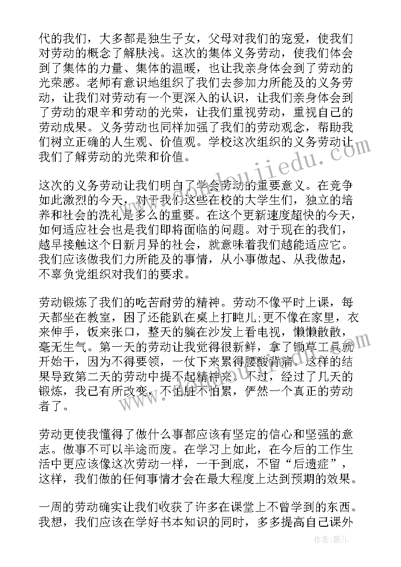 最新劳动教育打扫教室实践报告(模板5篇)