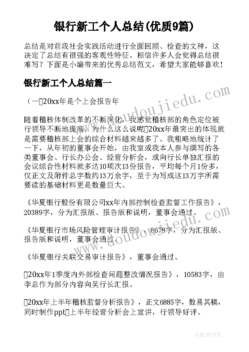 银行新工个人总结(优质9篇)