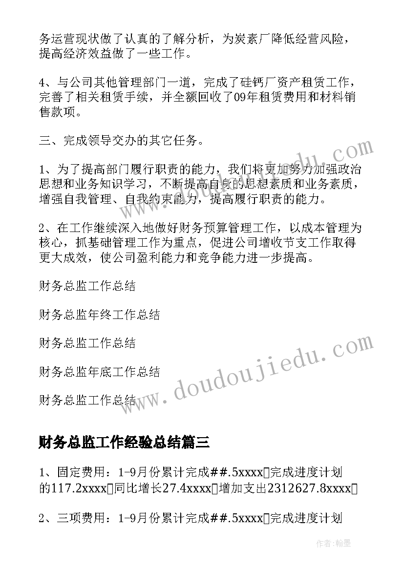 最新财务总监工作经验总结 财务总监工作总结(精选5篇)