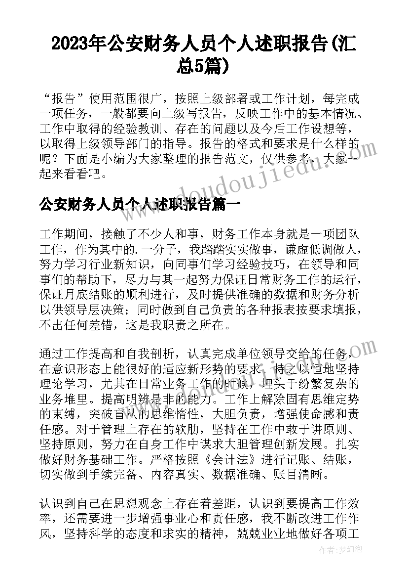 2023年公安财务人员个人述职报告(汇总5篇)