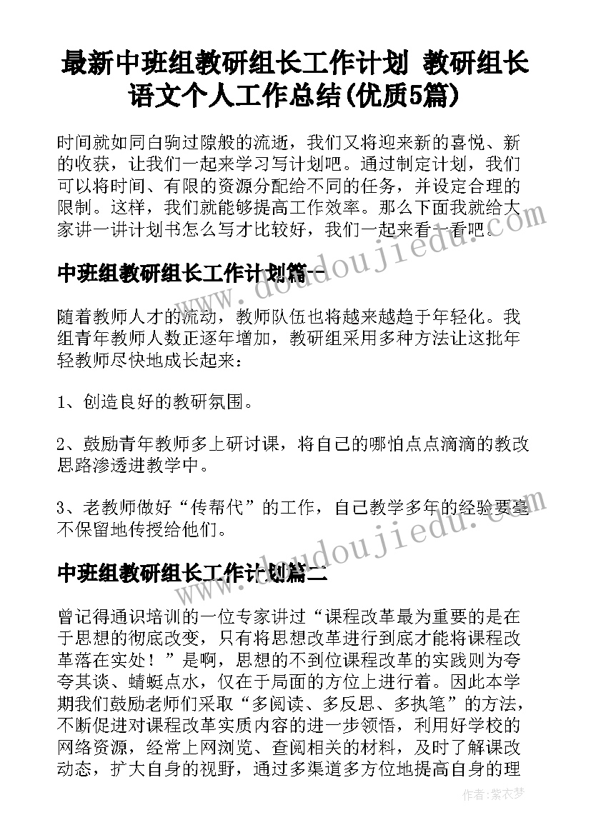 最新中班组教研组长工作计划 教研组长语文个人工作总结(优质5篇)